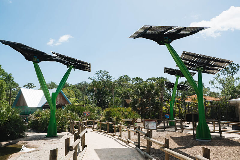 Large tree shaped structures with solar panel canopies at the top.