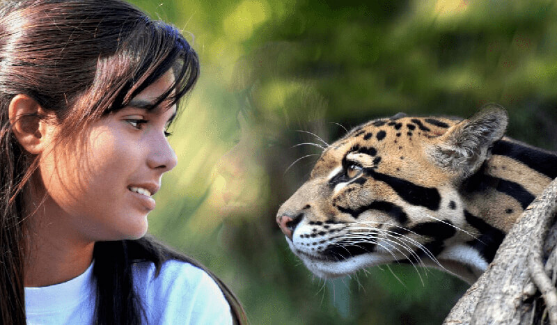 Girl looking at a cheetah in a zoo.
