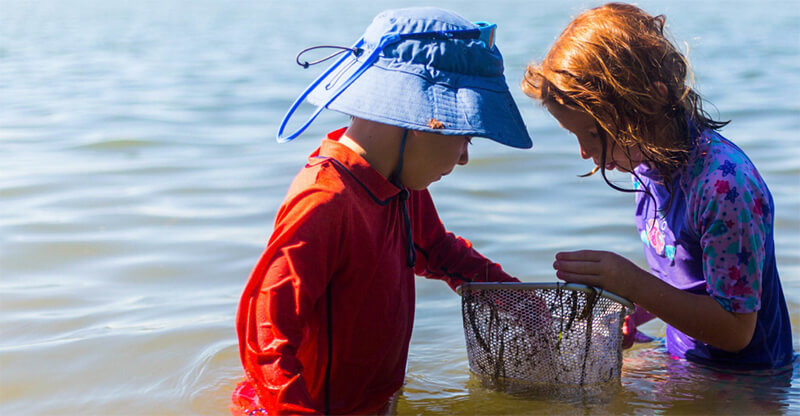 Two children standing in the ocean looking at contents of a net.