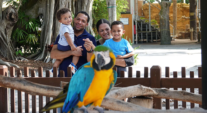 Man and woman holding two small children looking at a colorful parrot.