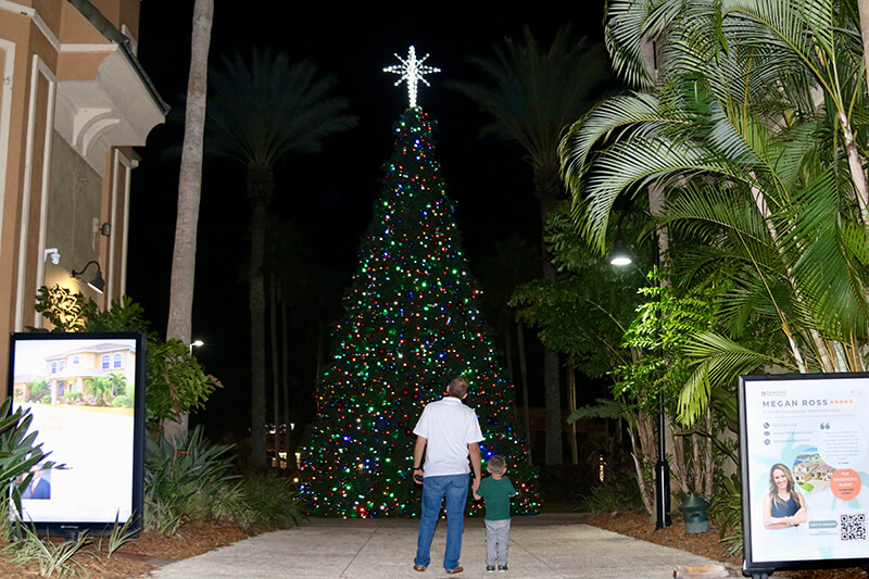 Man and boy staring up at a lit Christmas tree