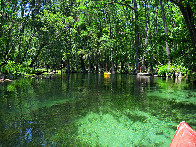 Kayaking the Ichetucknee River, Ichetucknee Springs State Park, Florida