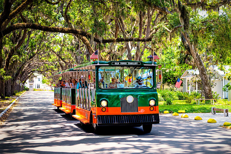 People riding on old town trolley guided tour on Magnolia avenue street road with live oak trees canopy and hanging Spanish moss in Florida city